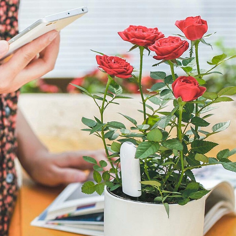 HHCC Çiçek Monitör Flora Bahçe - Smart Garden Water incelemesi ve fiyatı
