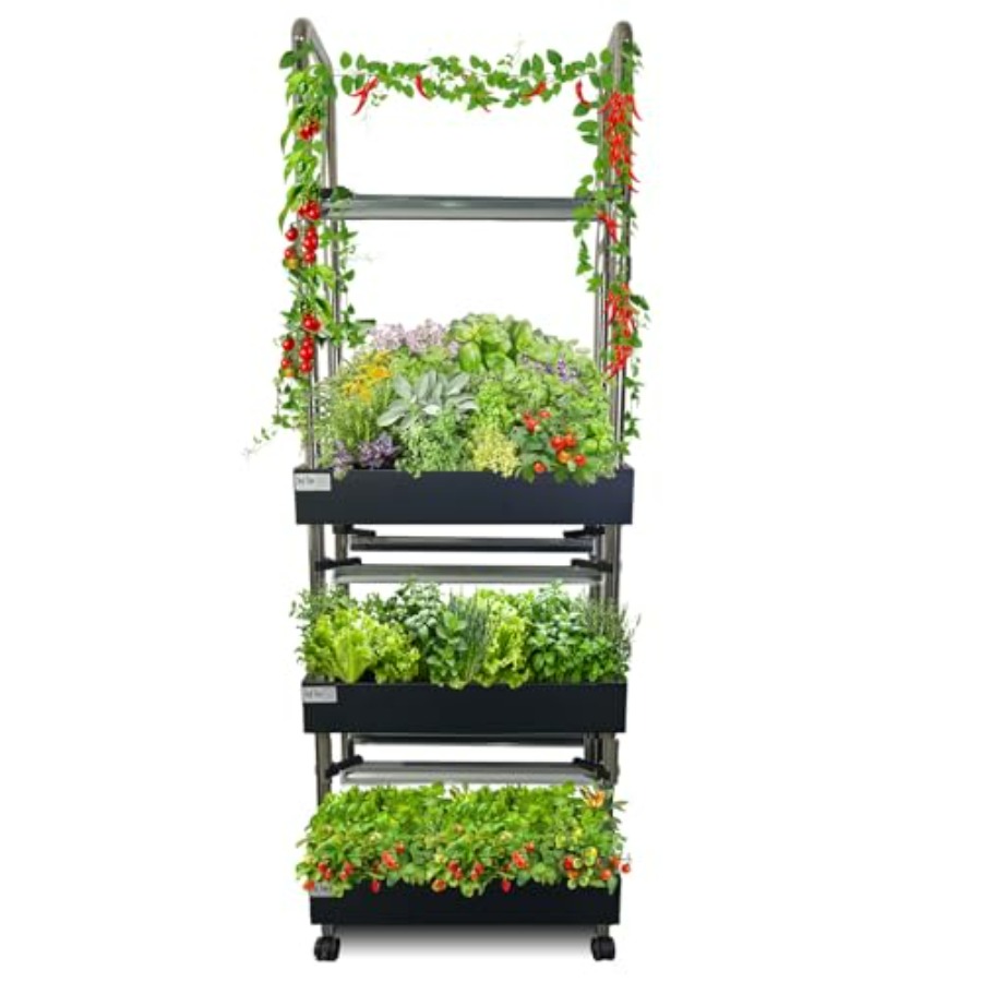 İç mekan hidroponik yetiştirme - Smart Garden Water incelemesi ve fiyatı