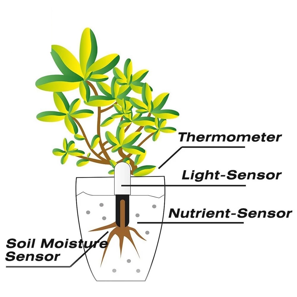 HHCC Çiçek Monitörü Flora Bahç - Smart Garden Water incelemesi ve fiyatı