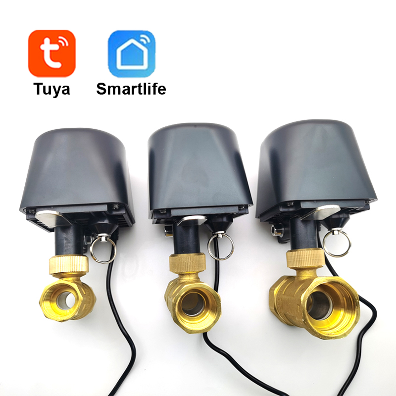 Tuya WiFi veya Zigbee Su Vanas - Smart Garden Water incelemesi ve fiyatı